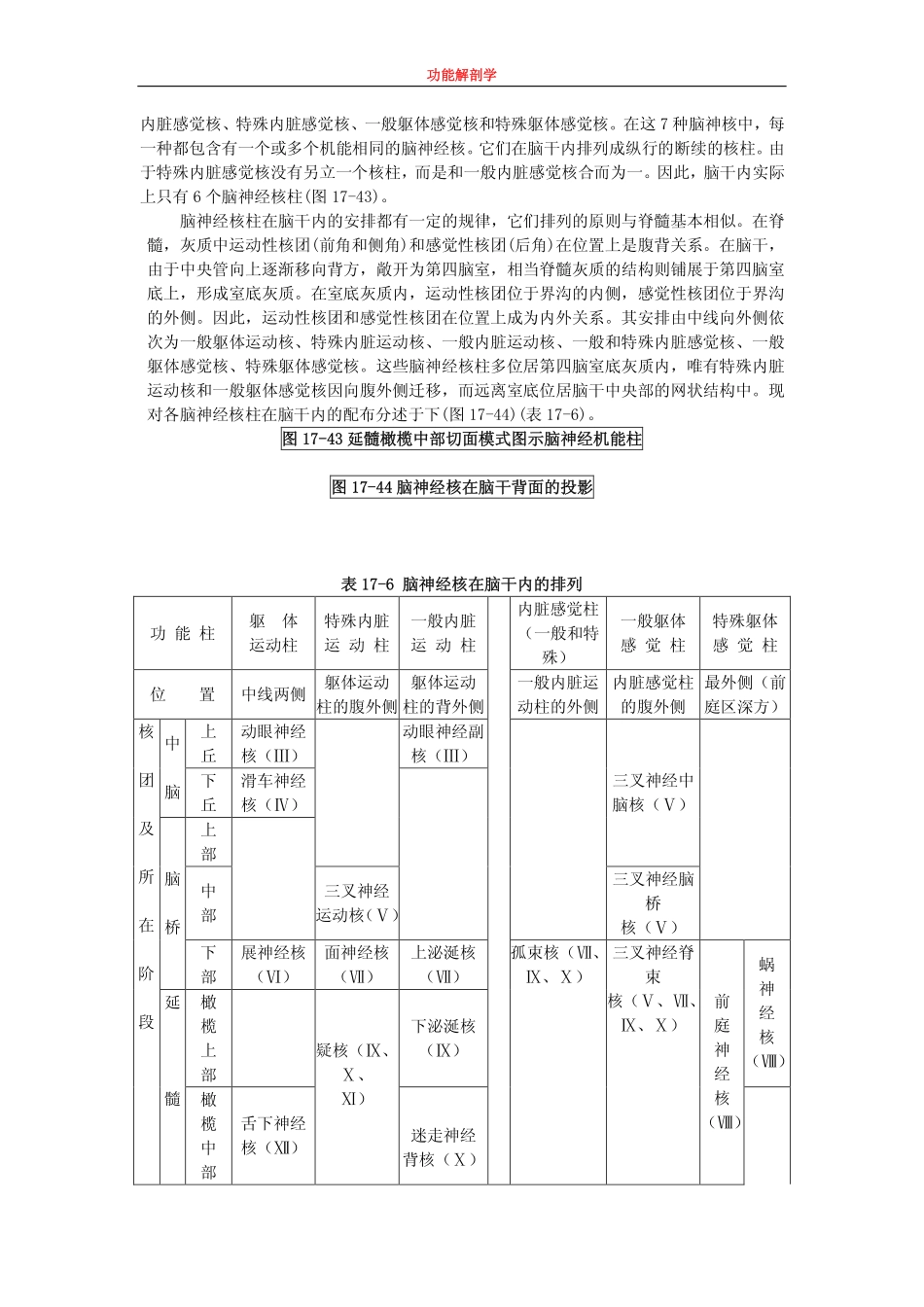 图 17-39 脑的正中矢状面_第3页