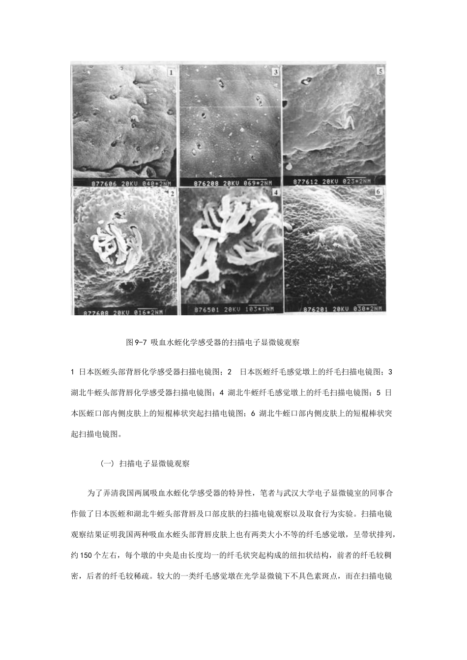 唾液腺分泌物的采集_第2页