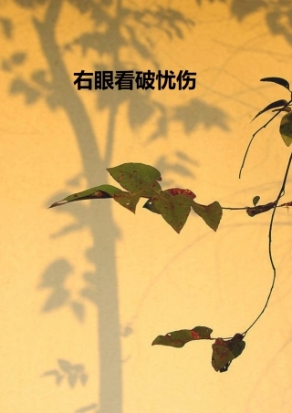 右眼看破忧伤
