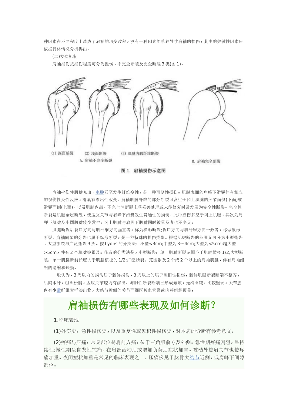 右侧肩袖损伤_第3页
