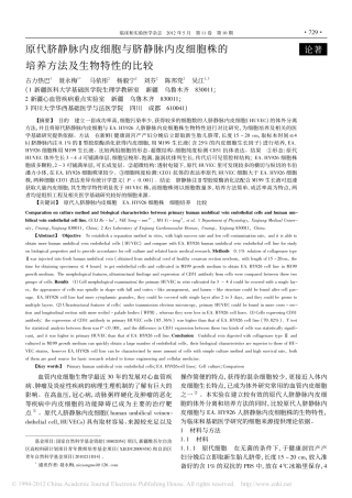 原代脐静脉内皮细胞与脐静脉内皮细胞株的培养方法及生物特性的比较