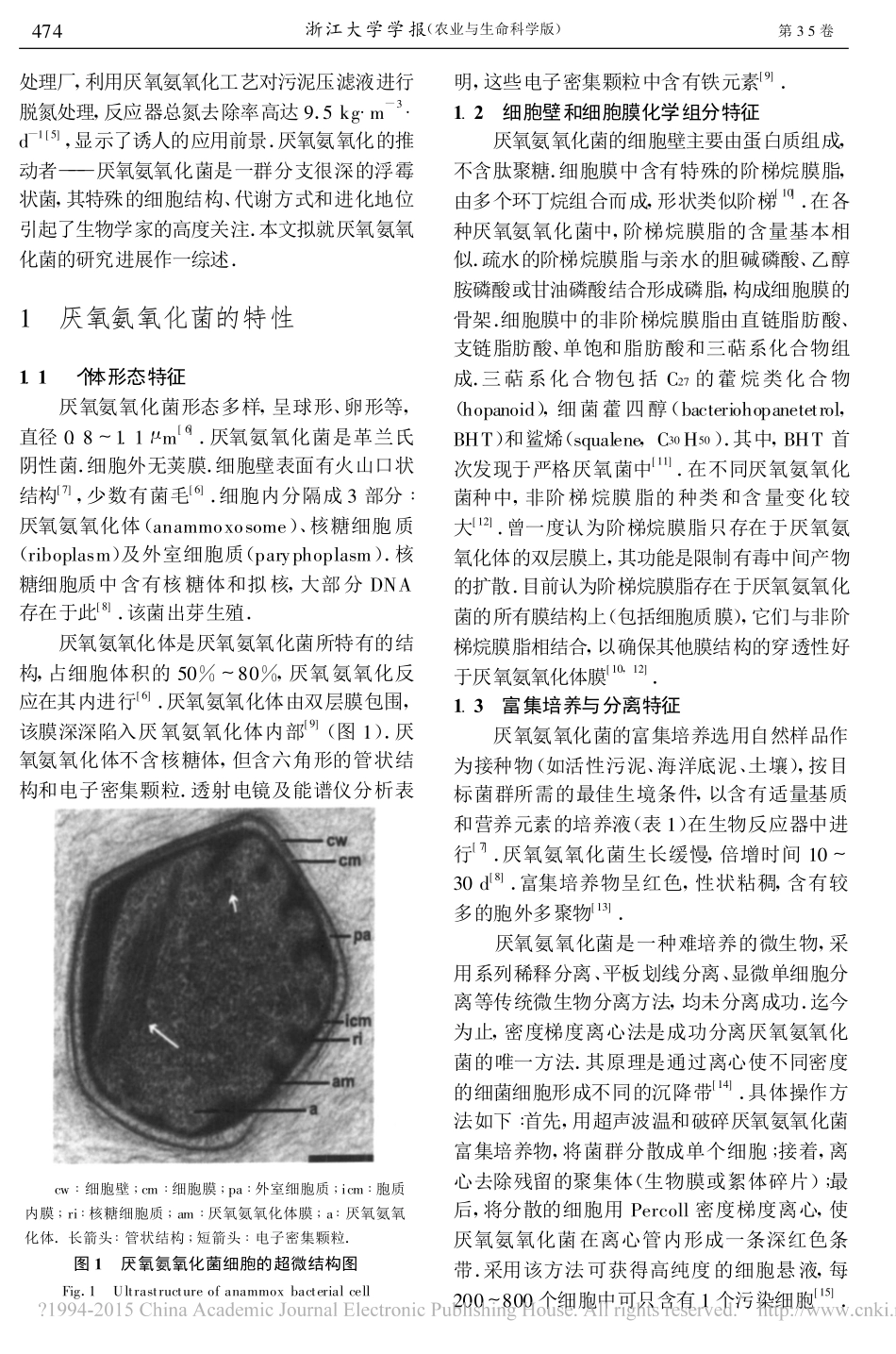 厌氧氨氧化菌的特性与分类_第2页