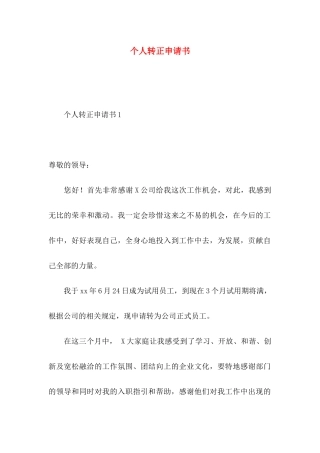 个人转正申请书 (3)