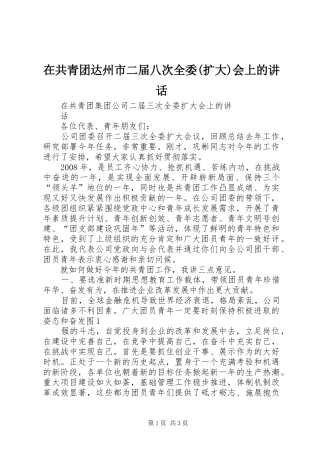 在共青团达州市二届八次全委(扩大)会上的讲话发言