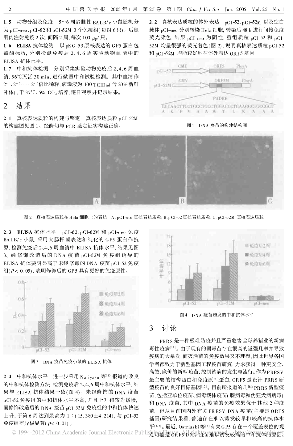 修饰的ORF5基因增强猪繁殖与呼吸综合征DNA疫苗的体液免疫_第2页