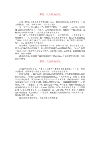 作文：那是一次失败的尝试