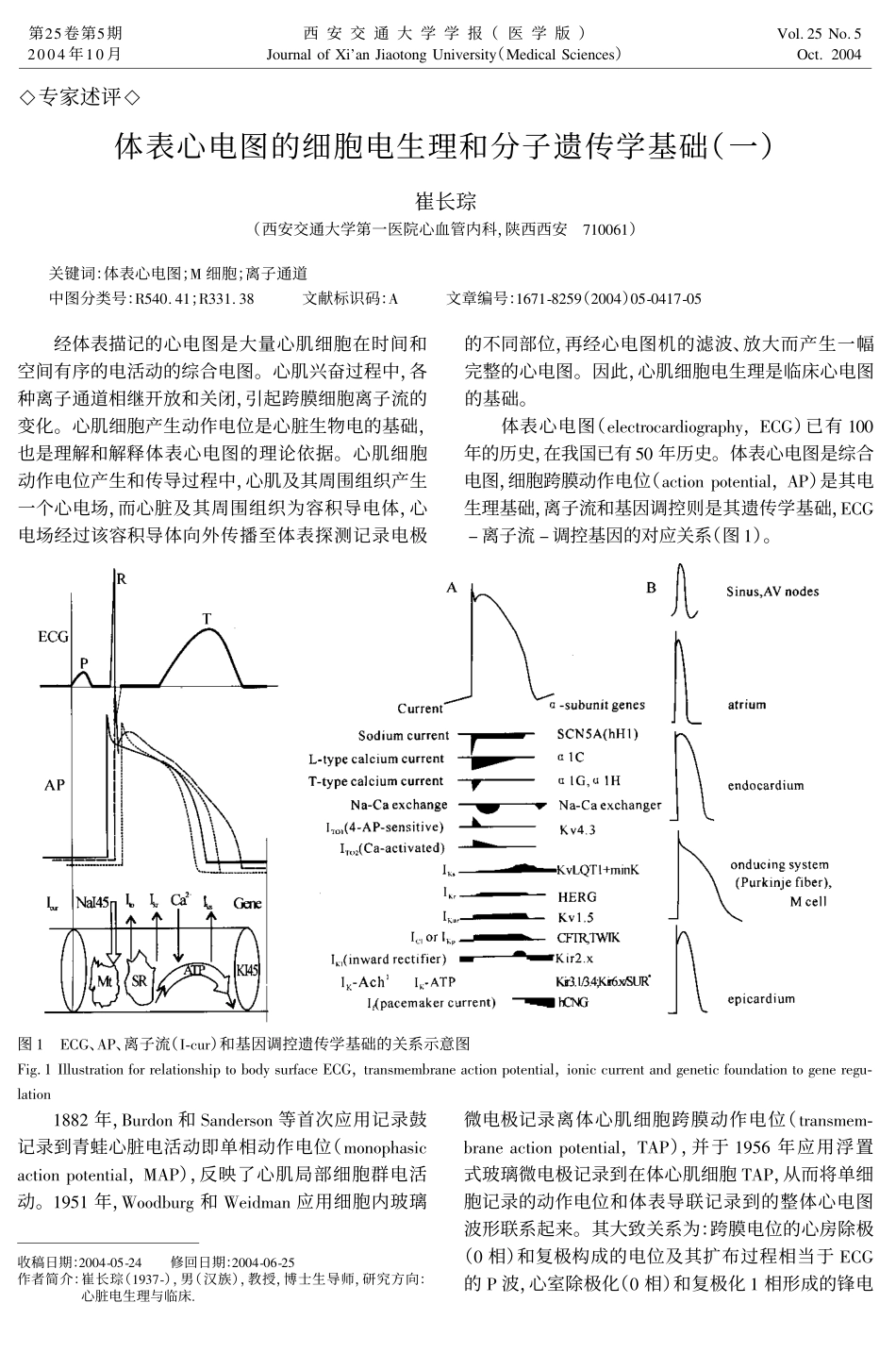 体表心电图的细胞电生理和分子遗传学基础(一)_第1页
