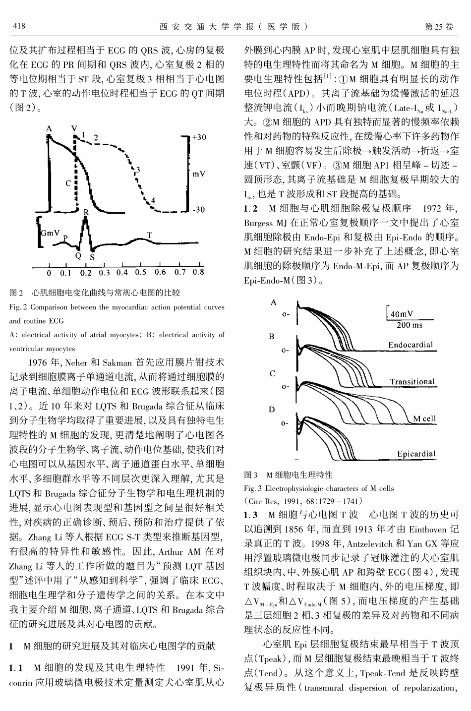 体表心电图的细胞电生理和分子遗传学基础(一)_第2页