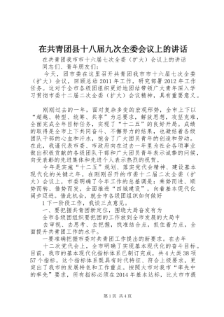 在共青团县十八届九次全委会议上的讲话发言