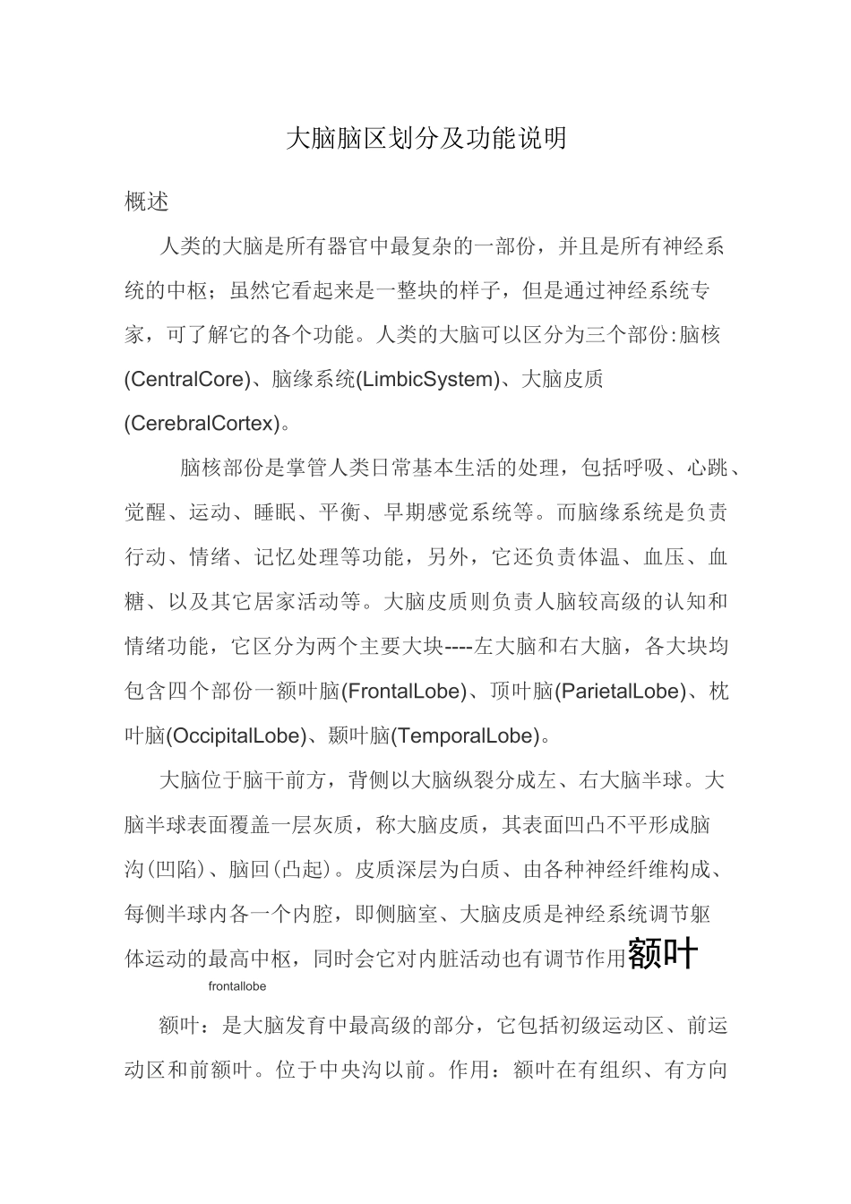 各脑区划分及功能_第1页