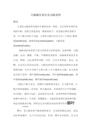各脑区划分及功能