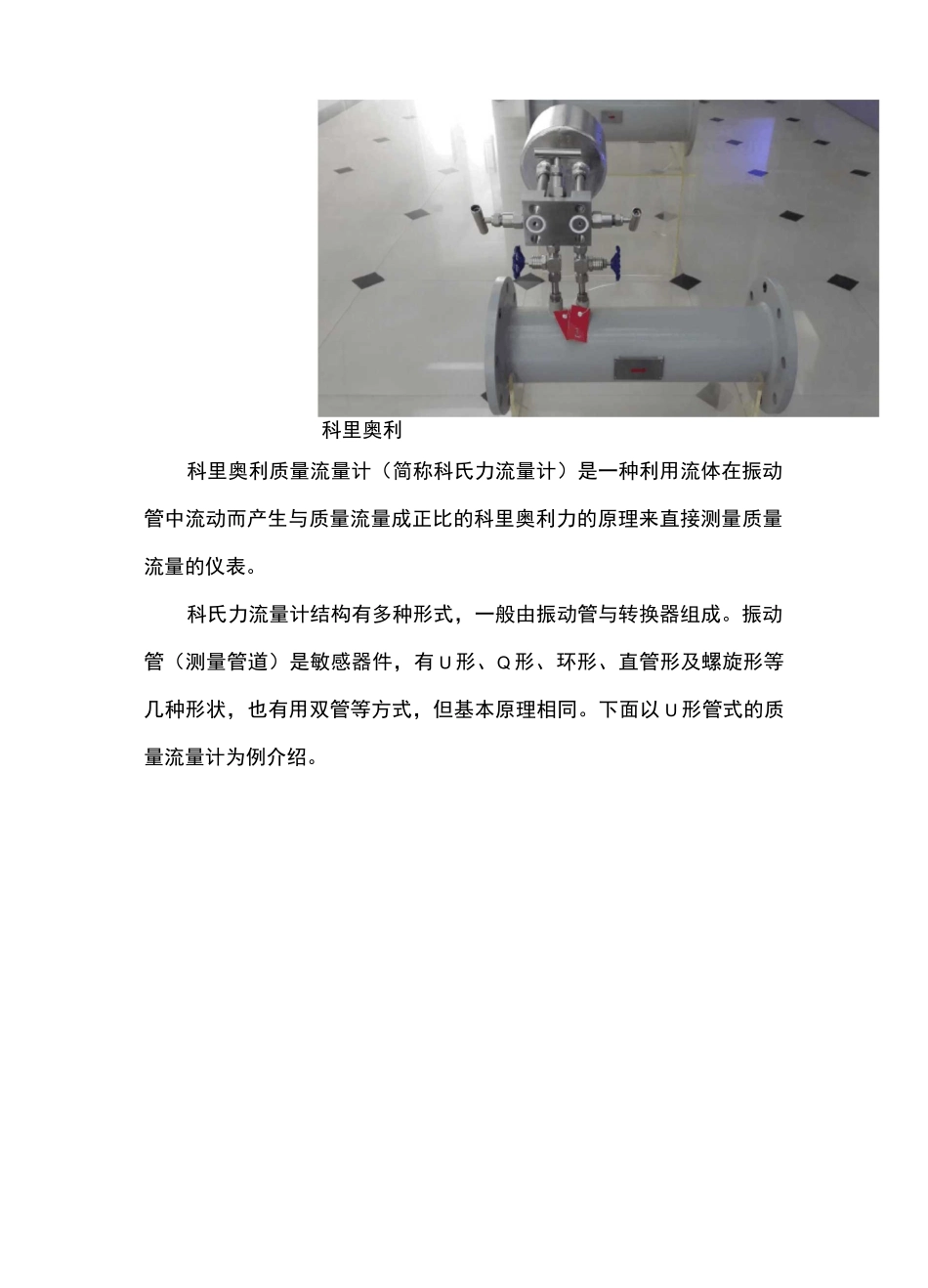 质量流量计原理简介_第3页