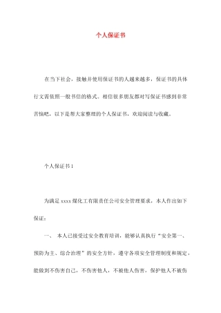 个人保证书 (2)