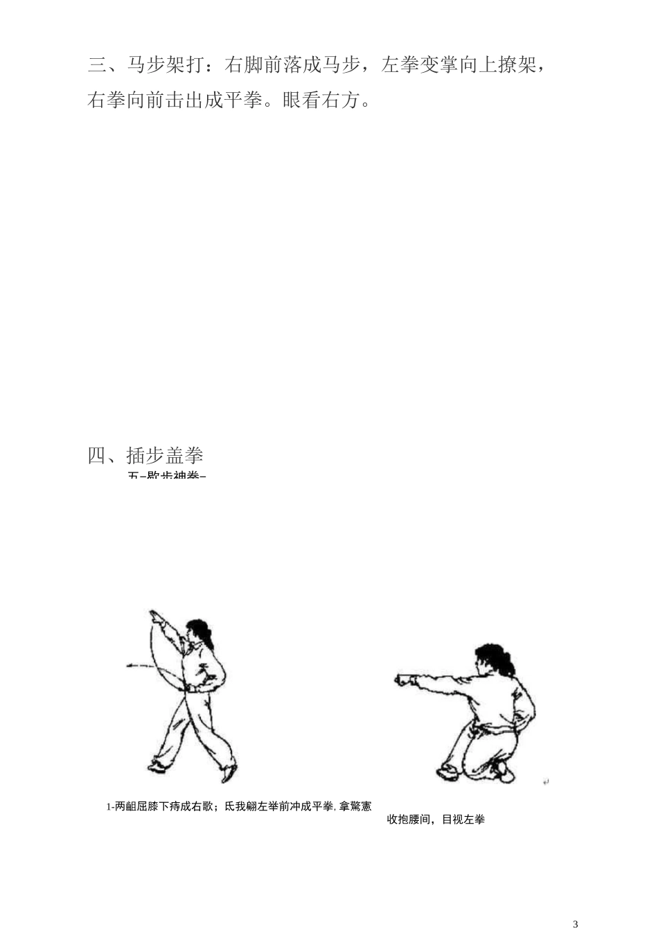 五步拳动作分解图_第3页