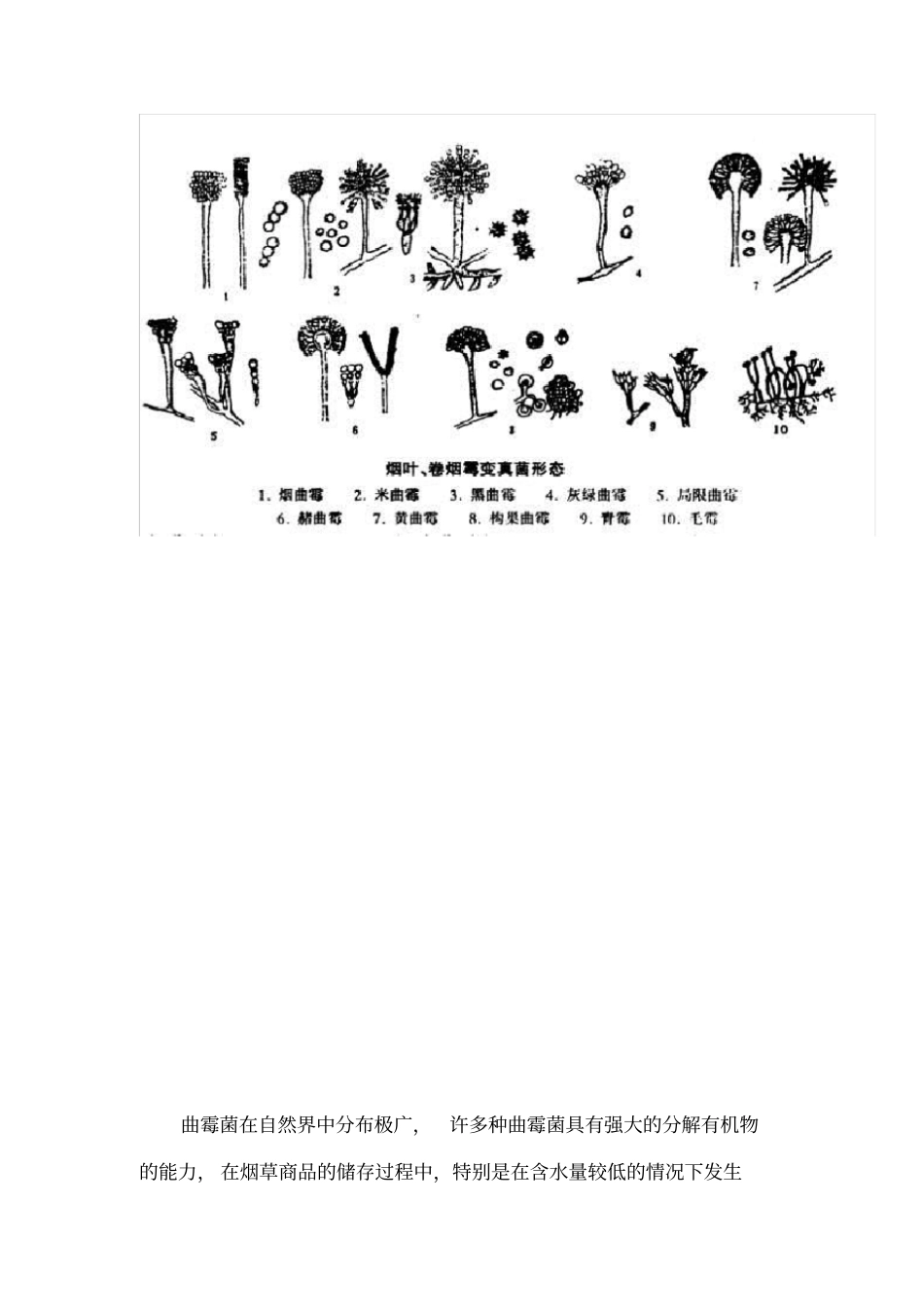 ╲t烟草商品防霉_第2页