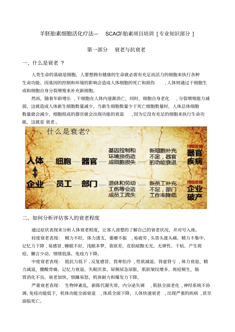 「羊胚胎素细胞活化疗法」_第1页
