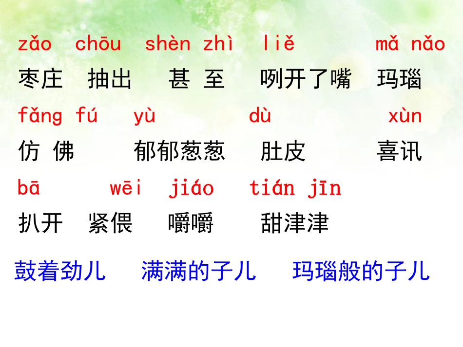 石榴两课时课件（家长进课堂）_第2页