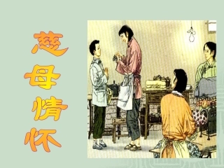 五上语文课件：慈母情怀