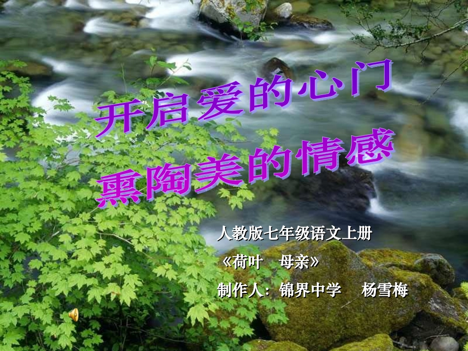 《荷叶母亲》课件_第1页