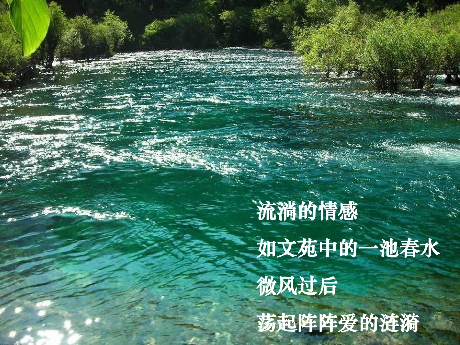 《荷叶母亲》课件_第3页