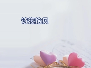 《诗海拾贝》课件