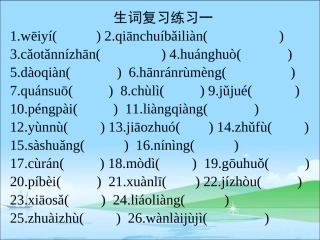 生词复习练习一