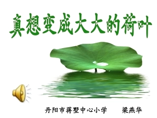 真想变成大大的荷叶第二课时