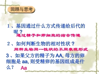 基因的显性和隐性PPT