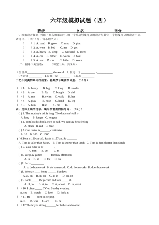 六年级模拟试题四