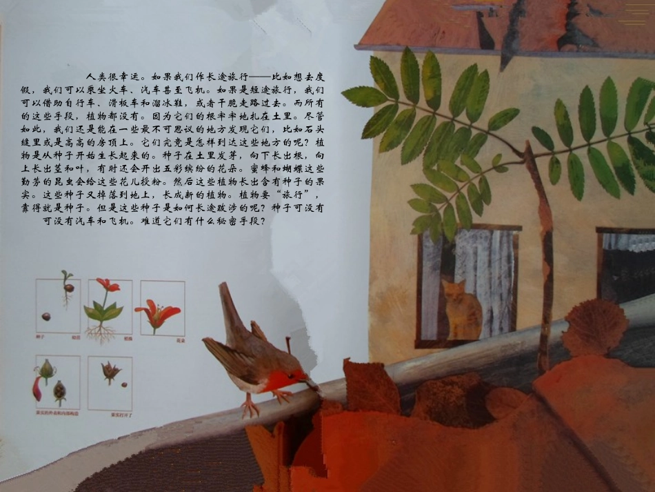 《一粒种子的旅行》PPT_第2页