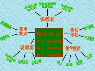 孙辉明珠回归