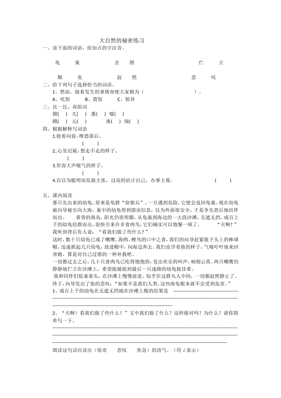 大自然的秘密练习_第1页