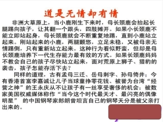 严也是一种爱课件