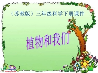 苏教版小学科学三年级下册《植物和我们》课件