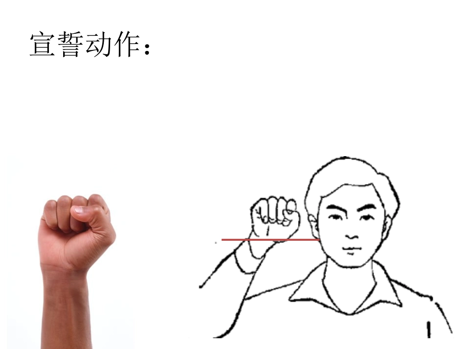 入队前知识学习_第3页