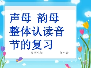 声母韵母整体认读复习