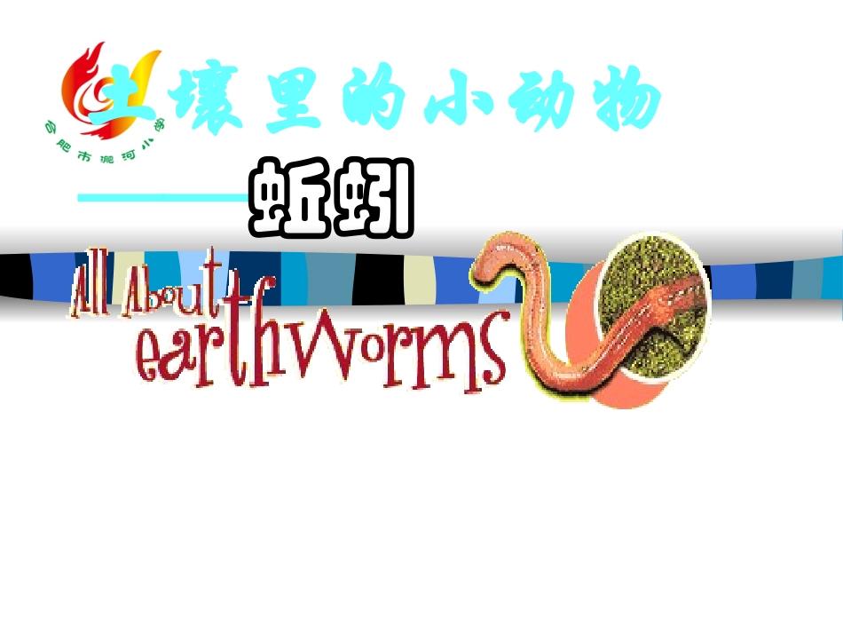 教科版小学科学三年级上册第二单元《蚯蚓》课件_第1页