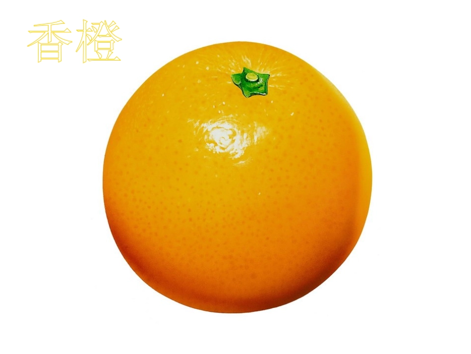 美术_瓜果飘香_第3页