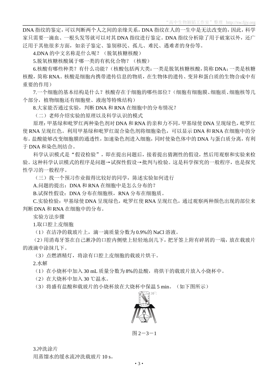 示范教案(遗传信息的携带者——核酸)_第3页