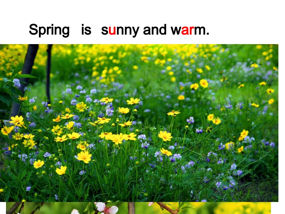 Itwillbesunnyandcooltomorrow育才小学李玲姣_第3页