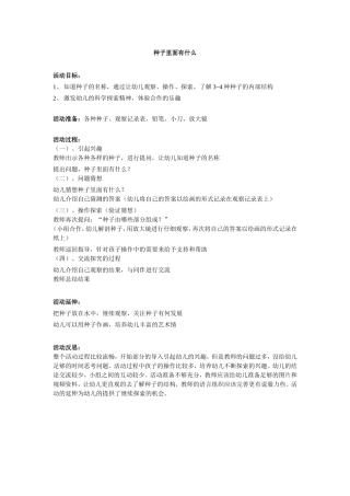 种子里面有什么