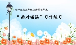 面对错误习作练习