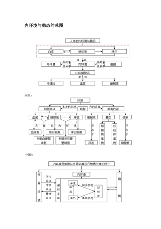 内环境与稳态的相关核心知识