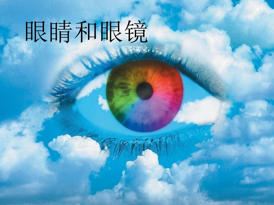四__眼睛和眼镜PPT_第2页