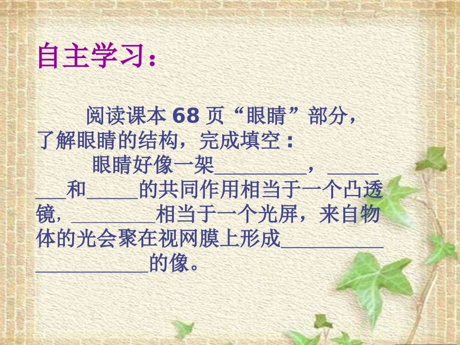 四__眼睛和眼镜PPT_第3页