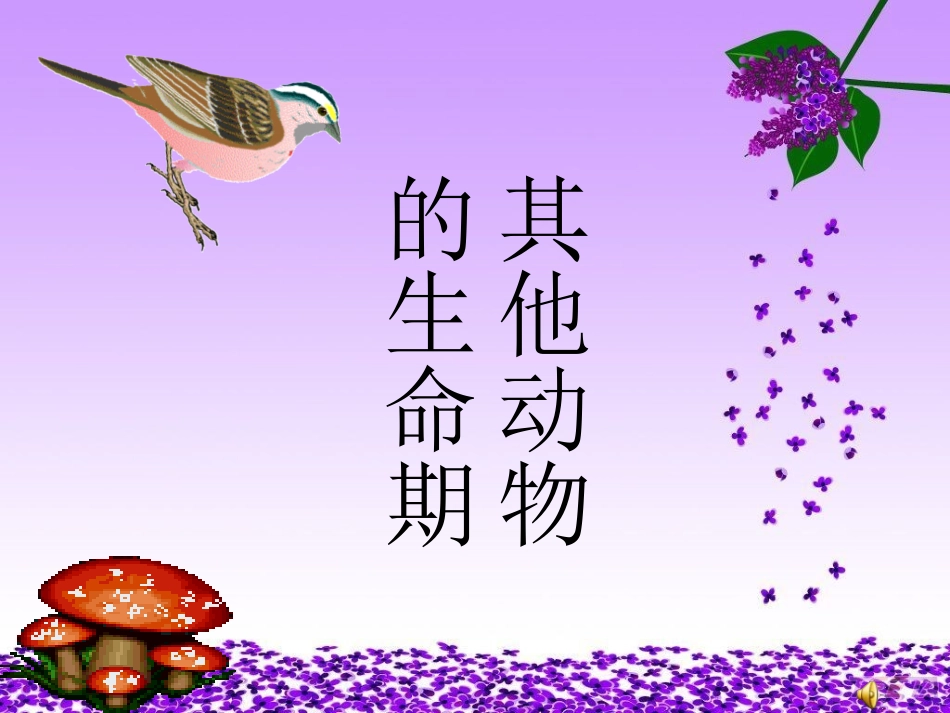 其他动物的生命周期_第1页