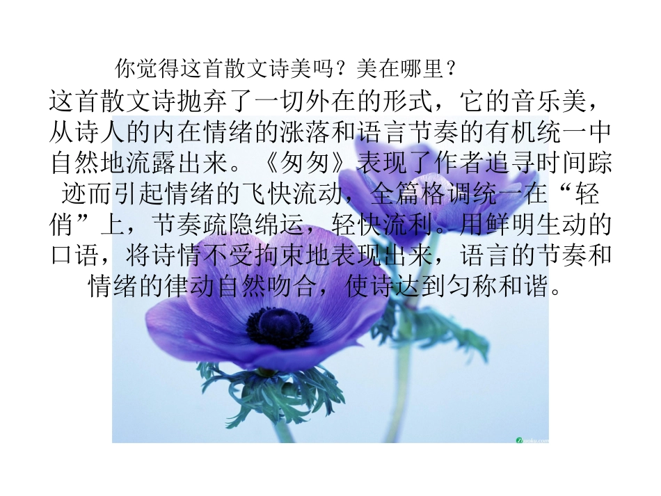 （课堂）修辞学_第3页
