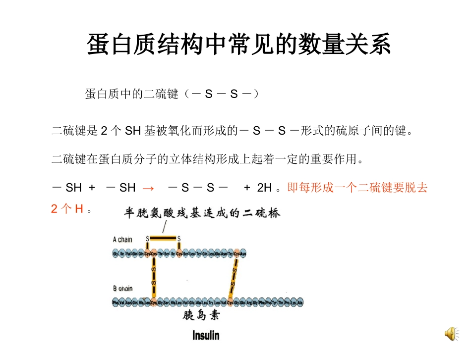 蛋白质中常见的数的微课_第2页