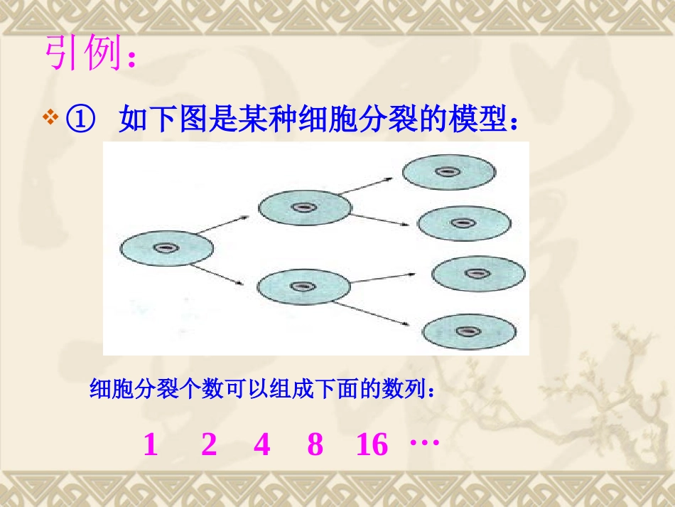 等比数列的概念及通项公式PPT_第2页