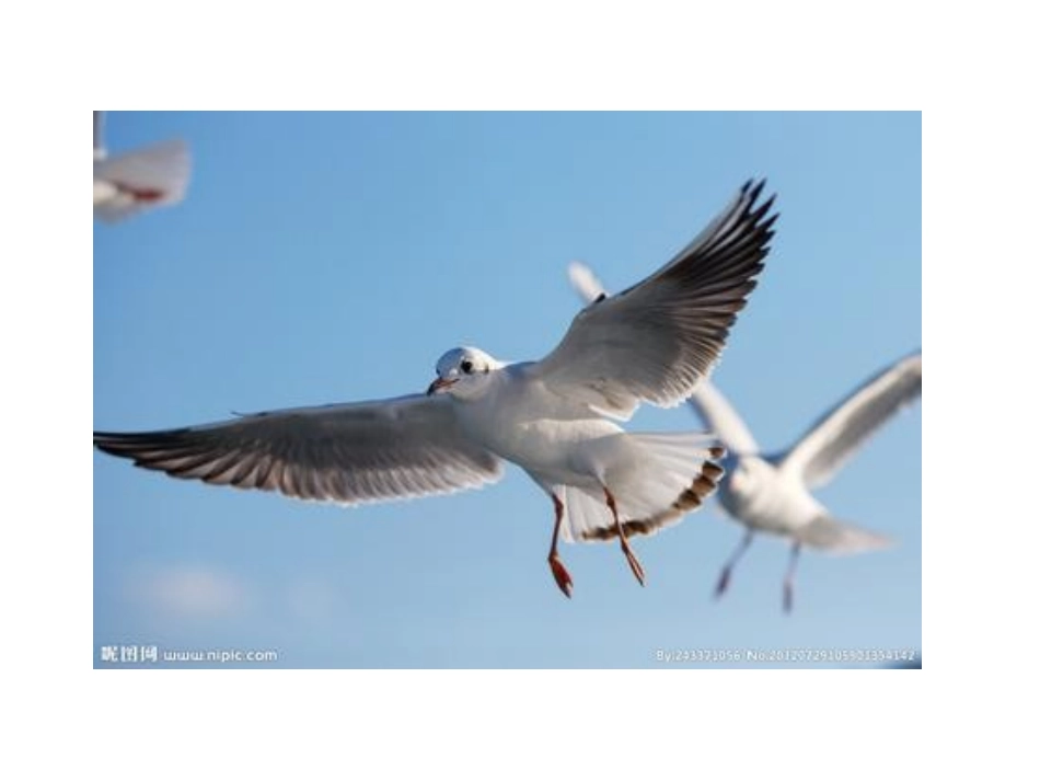六年级上册第七单元口语交际_第1页